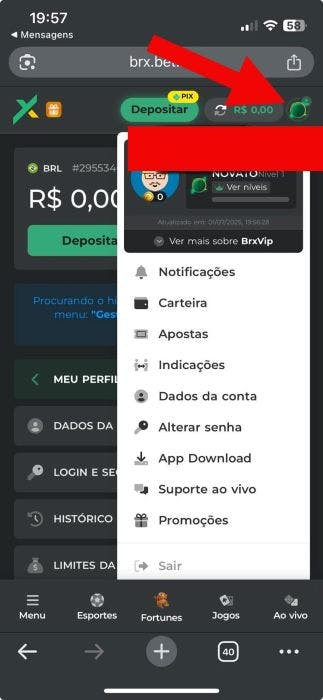 BRX verificação 3