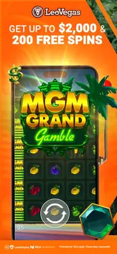 leovegas ios app 1