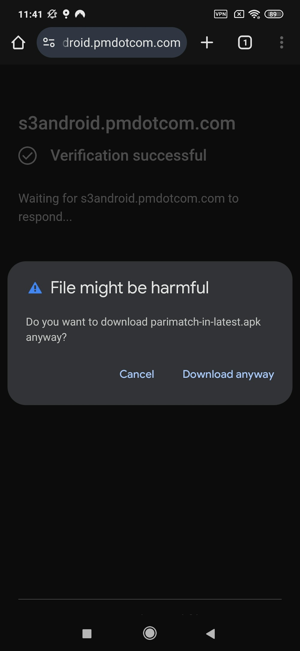 Step5. Proceed with "Download anyway".