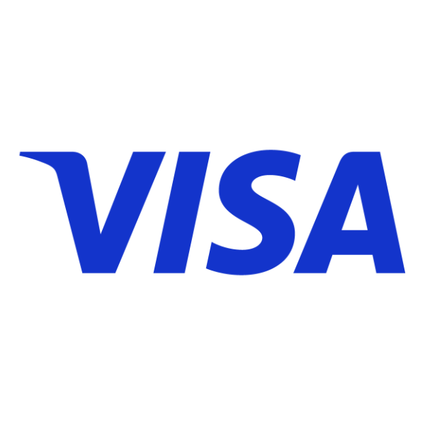 visa icon