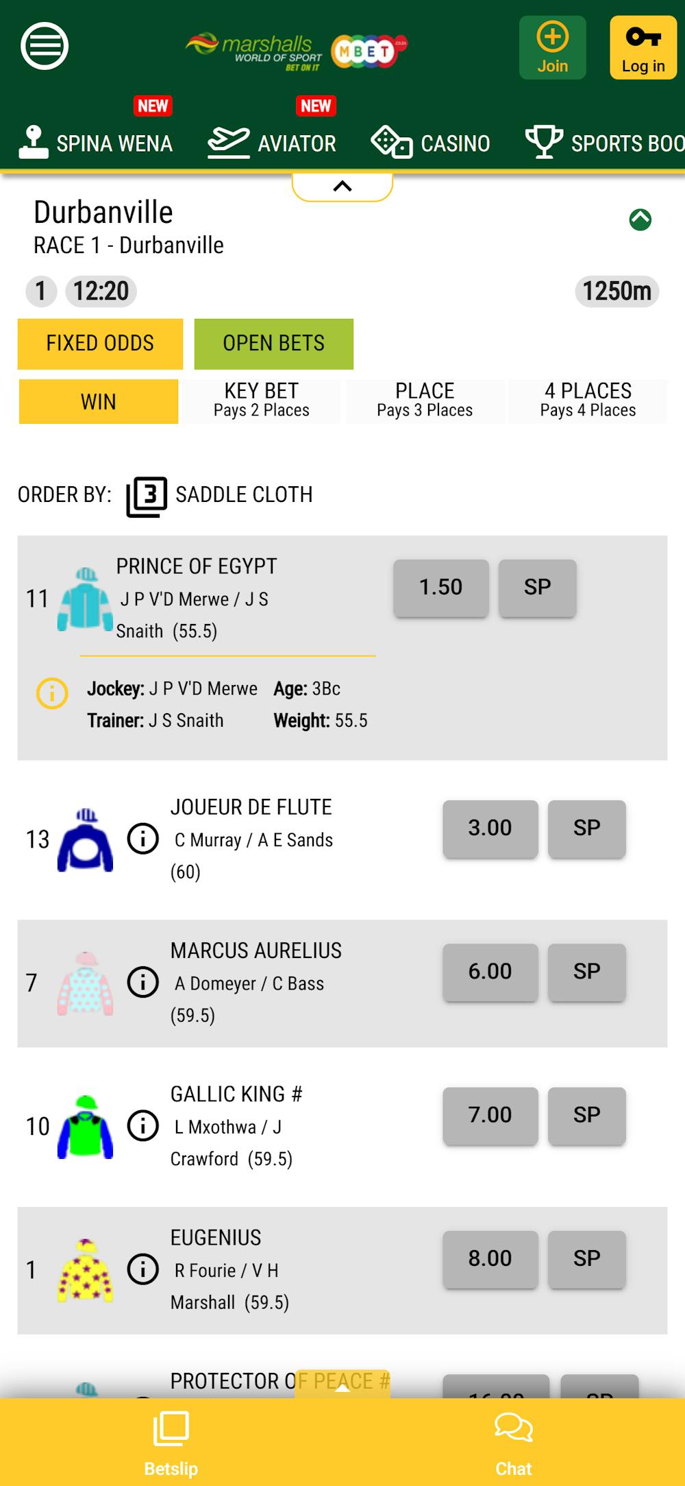 Marshalls-World-of-Sports-horse-racing