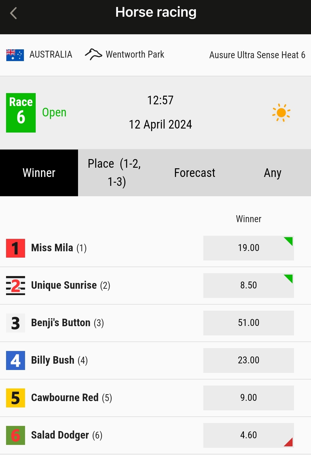 Parimatch Horse Racing