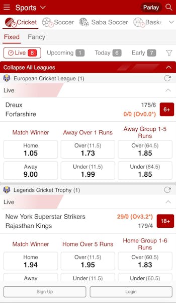 Dafabet cricket betting fixed app in India