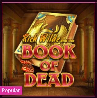LuckyNiki Book of Dead