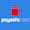 Paysafecard logo