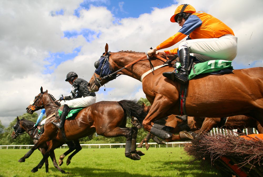 Horse racing with jumps like in the Grand National 2019