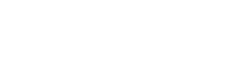 Pub Sports logo