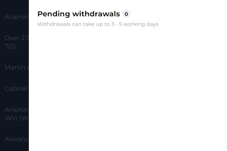 Rhino Bet Withdraw 1