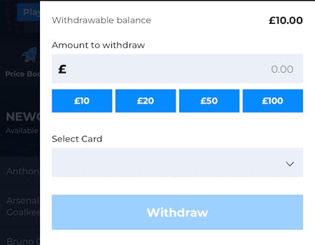 Rhino Bet Withdraw 1