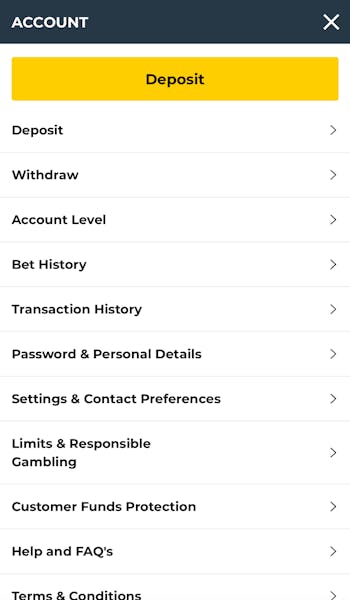 BetWright Account Overview