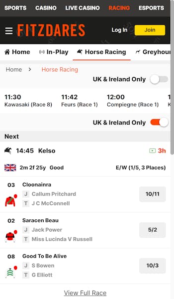 Fitzdares horse racing