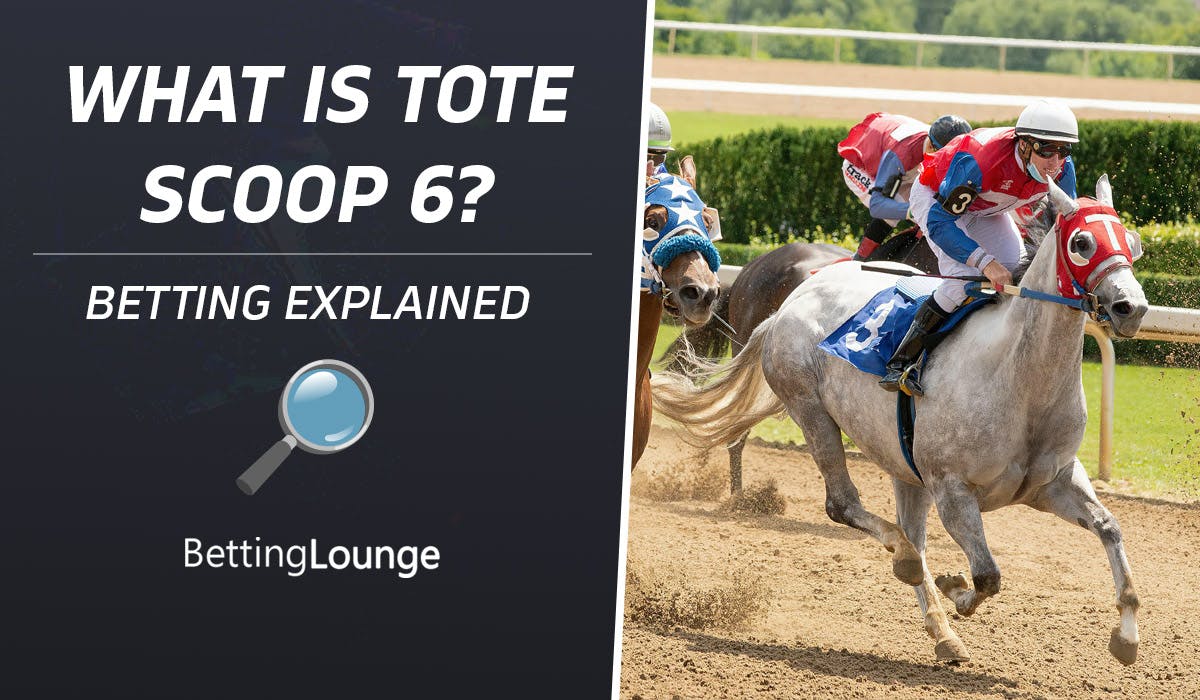 Tote Scoop 6 Explained