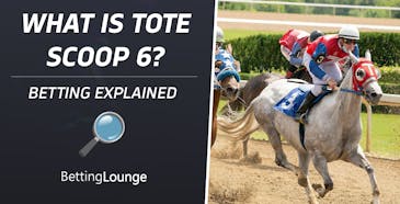Tote Scoop 6 Explained