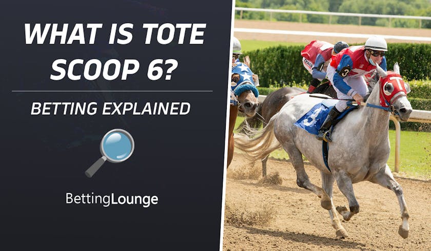 Tote Scoop 6 Explained