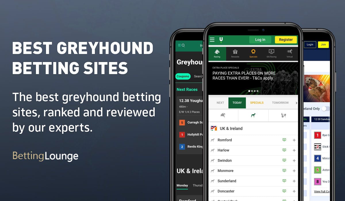 best greyhound betting sites