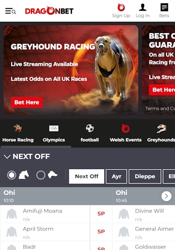Dragonbet sportsbook