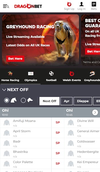 Dragonbet sportsbook