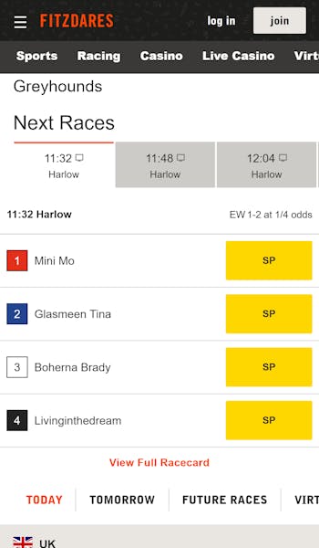 Fitzdares greyhound racing