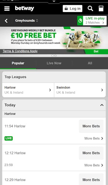 Betway greyhound racing