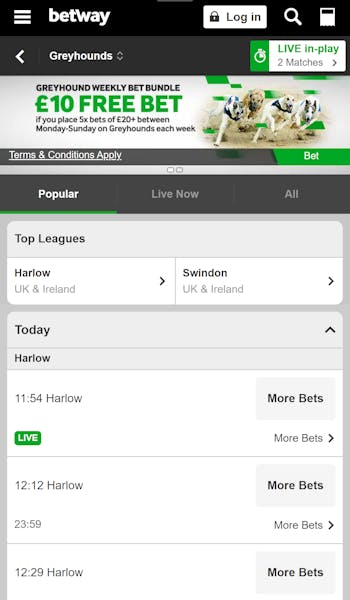 Betway greyhound racing