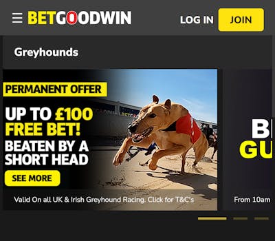 BetGoodwin greyhound racing