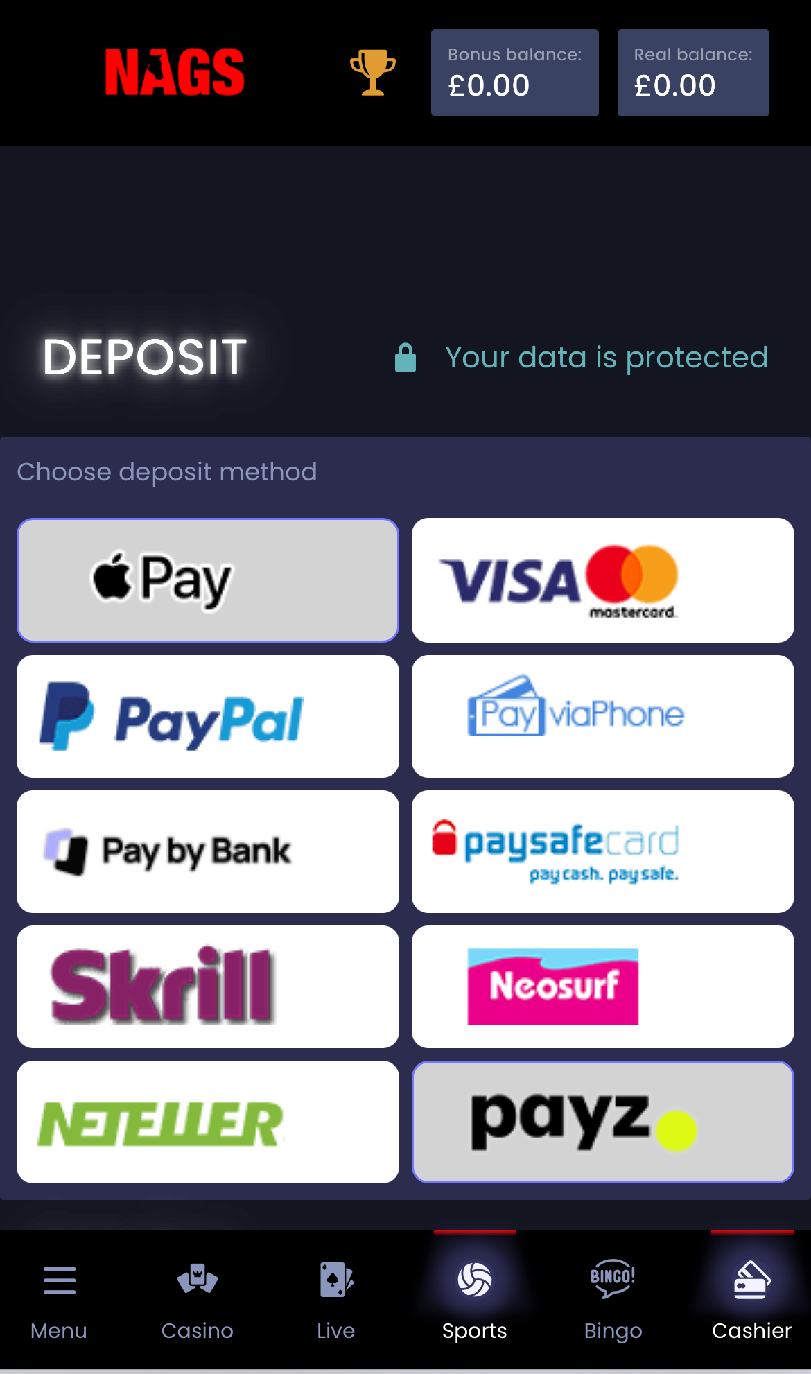 Nags Bet deposit options