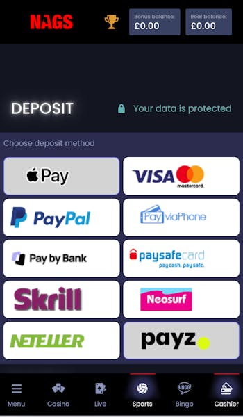 Nags Bet deposit options