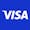 Visa icon