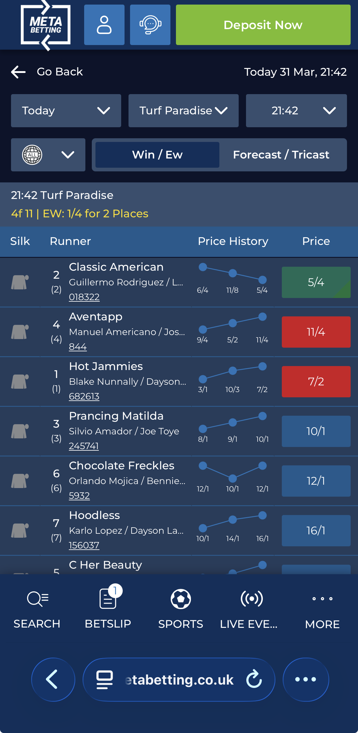 Meta Betting Horse Racing