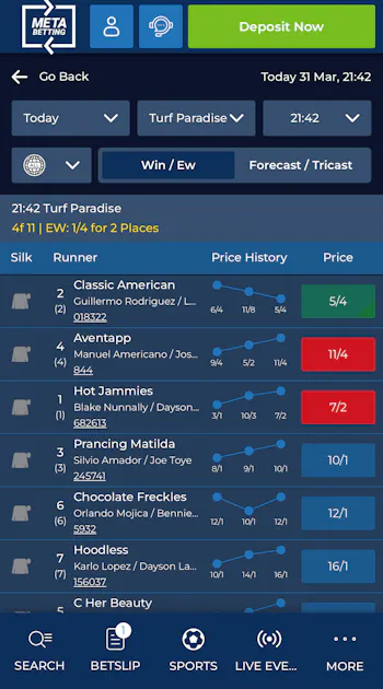 Meta Betting Horse Racing