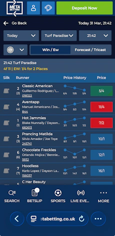 Meta Betting Horse Racing