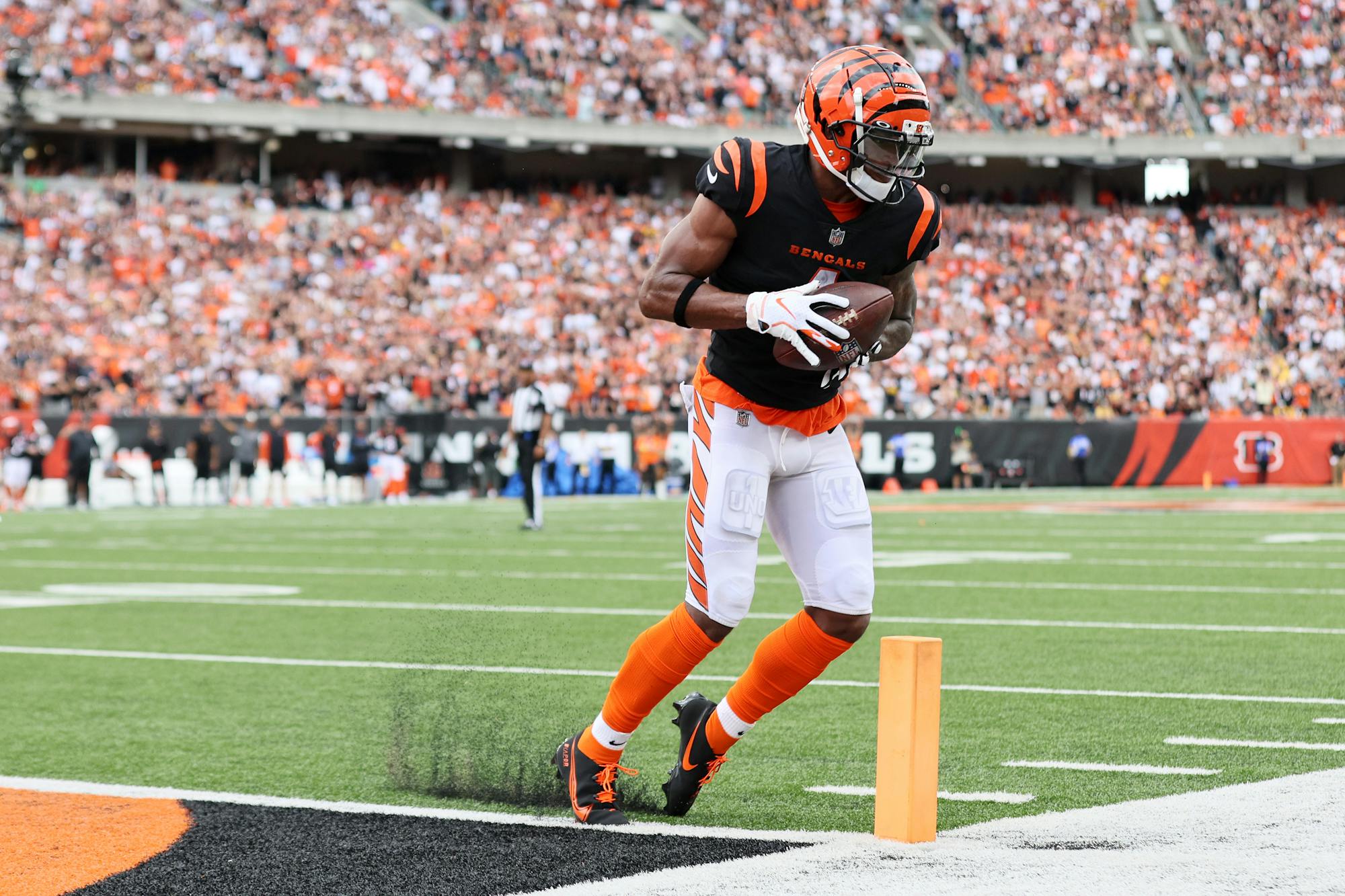 dolphins bengals props