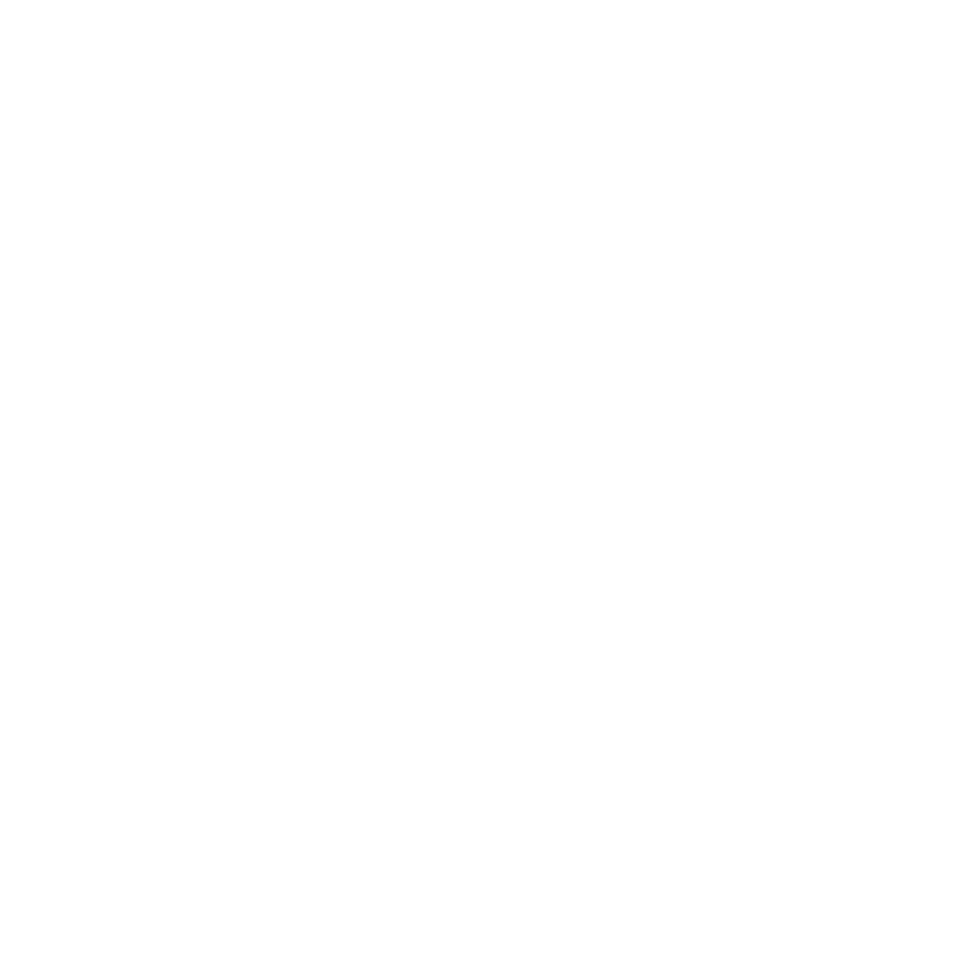 TS logo