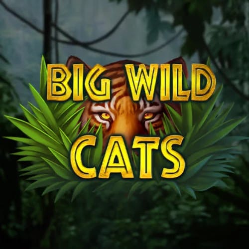 big wild cats slot logo