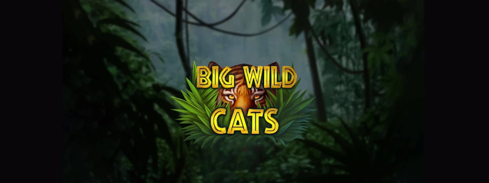 big wild cats slot background