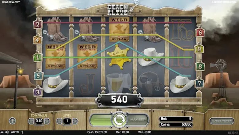 dead or alive slot base game
