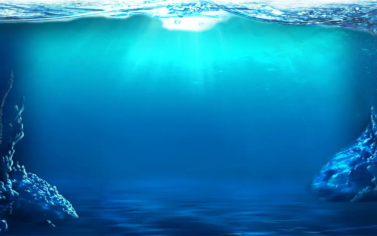 big bass bonanza reel action