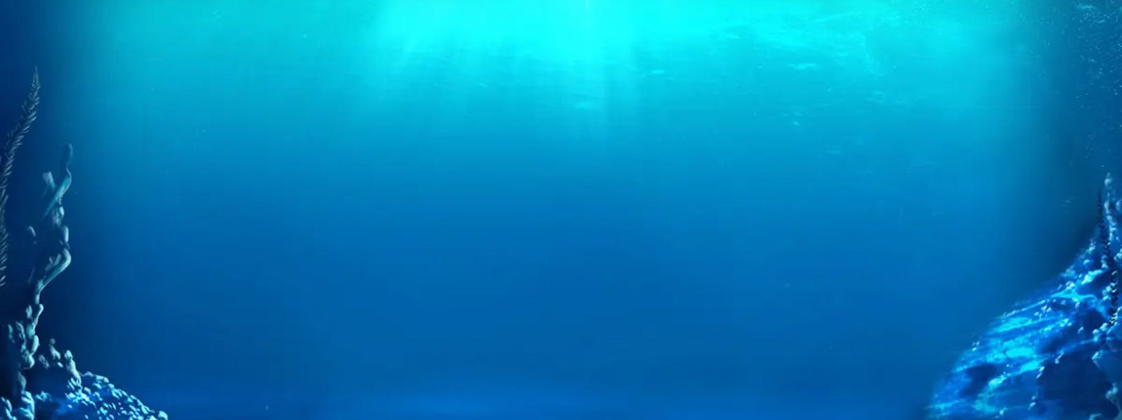 big bass bonanza reel action