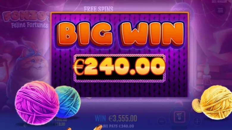 Fonzo's Feline Fortunes Big Win