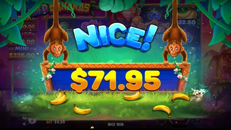 Wild Wild Bananas Nice win