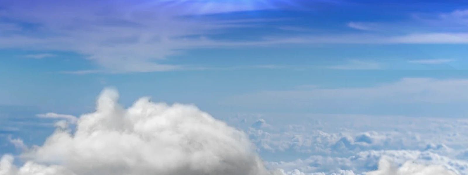 Emerald King Background