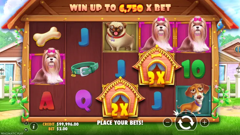 The Dog House Gameplay