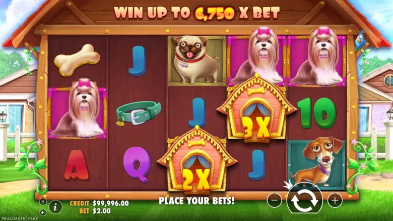 The Dog House Gameplay