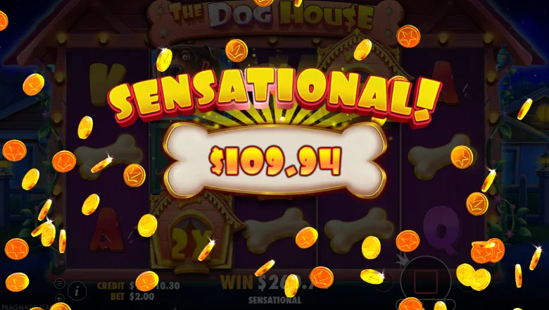 The Dog House Big Win