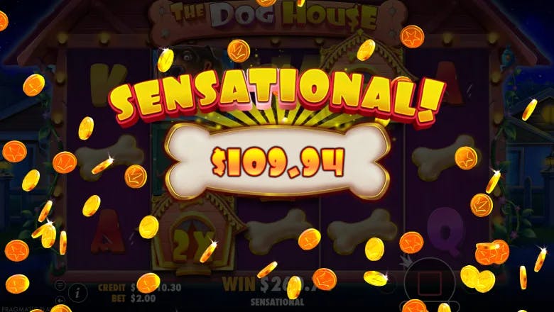 The Dog House Big Win