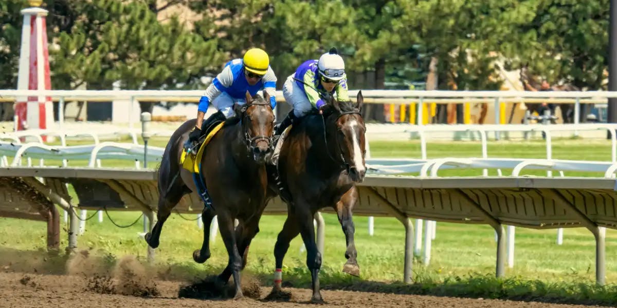 Horse Racing Forecast