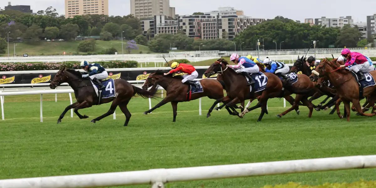 Horse Racing Close Finish
