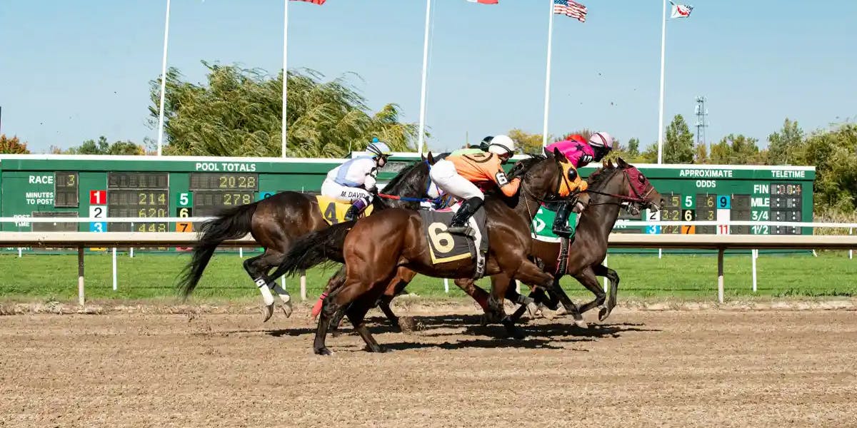 Start of a Horse Race