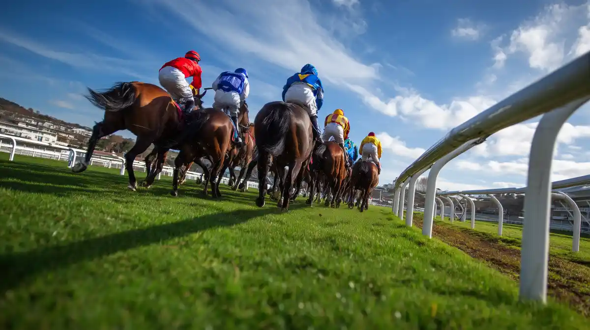 BetWright_Editorial_HorseRacing_001