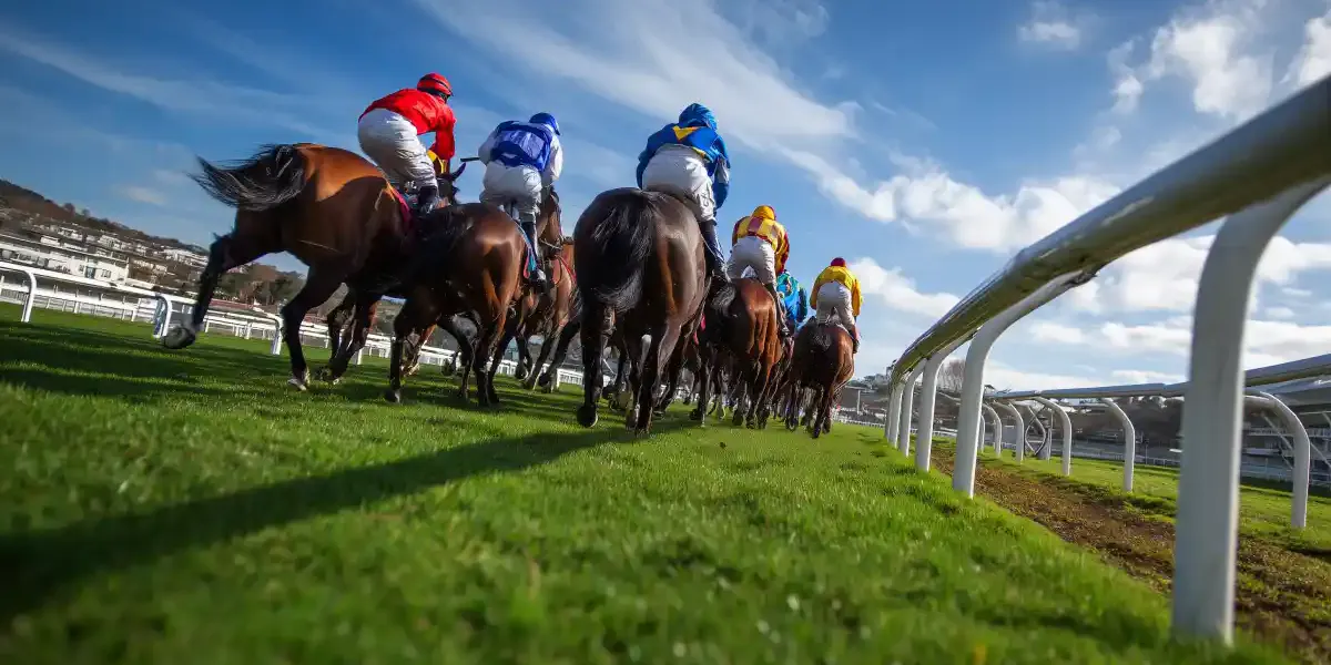 BetWright_Editorial_HorseRacing_001